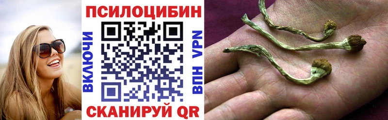 Псилоцибиновые грибы Magic Shrooms Купить где Ковдор